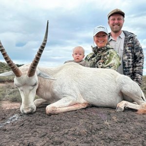 White Blesbuck Hunt South Africa