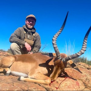 Impala Hunt South Africa