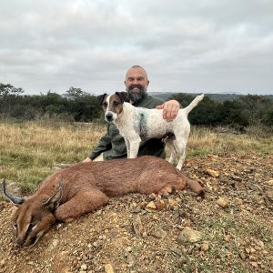 Caracal Hunting South Africa