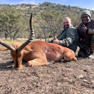 Impala Hunting South Africa