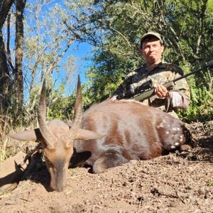 Bushbuck Hunt Eastern Cape South Africa