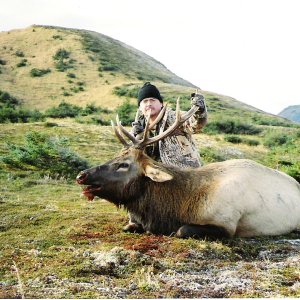 Roosevelt Elk Hunt Afognak Island Alaska