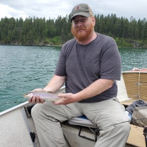 Rainbow Trout Fishing Kootenays