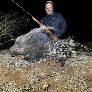 Porcupine Hunt Limpopo South Africa