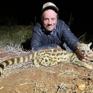 Genet Hunt Limpopo South Africa