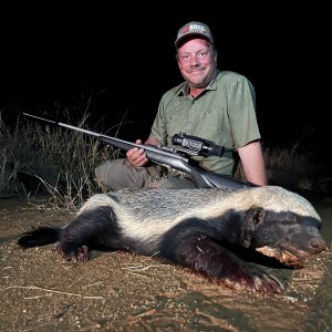 Badger Hunt Limpopo South Africa