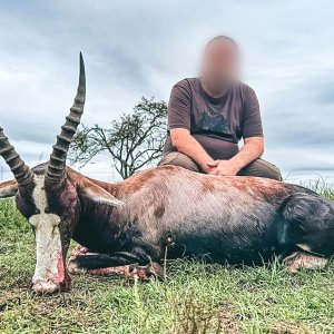 Blesbuck Hunt Eastern Cape South Africa