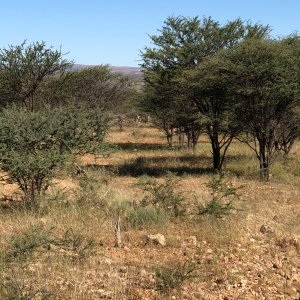 Khomas Safaris newest land.