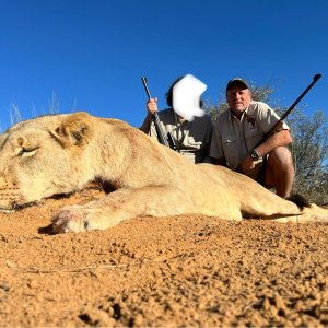 Lioness hunt