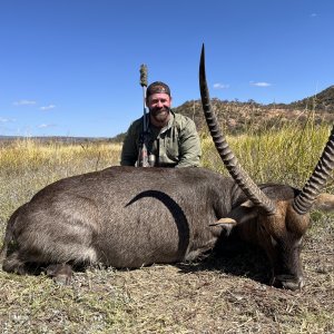 Waterbuck Hunt Limpopo South Africa