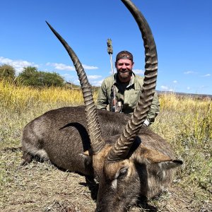 Waterbuck Hunt Limpopo South Africa