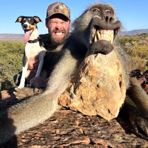 Baboon Hunt Limpopo South Africa
