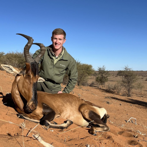 Hartebeest Hunt Namibia