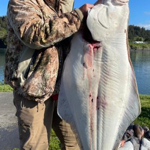 Halibut Fishing Kodiak