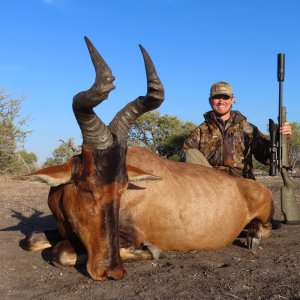 Red Hartebeest Hunt Botswana