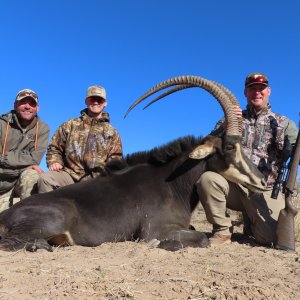 47 Inch Sable Hunt Botswana