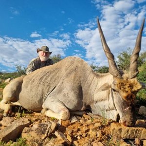 Eland Hunt South Africa