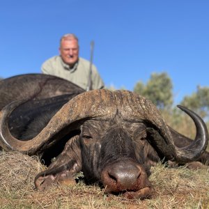 Buffalo Hunt Limpopo South Africa
