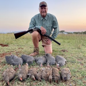 Francolin & Guinea Fowl Hunt South Africa