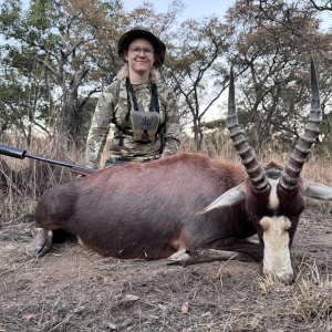 Blesbok Hunting South Africa