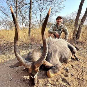 Nyala Hunting South Africa