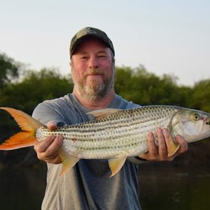 Fishing Tigerfish Namibia