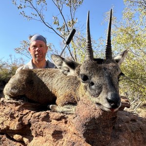 Klipspringer Hunt South Africa
