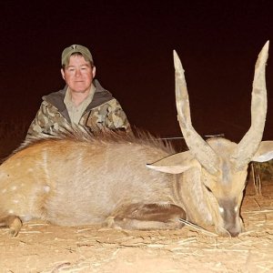 Bushbuck North West Province South Africa