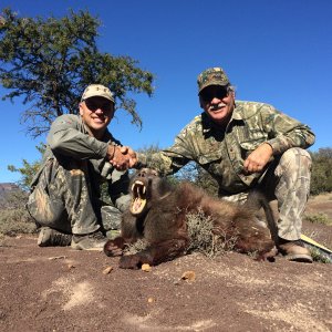 South African Baboon Hunt