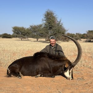 Hunting Sable Namibia