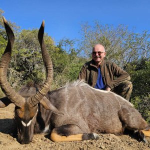 Nyala Hunt Eastern Cape South Africa