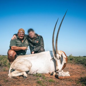Scimitar Oryx Hunt South Africa