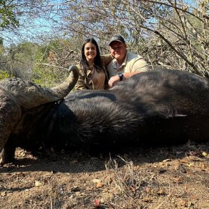 Buffalo Hunt South Africa