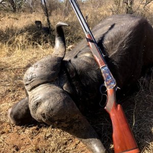 Buffalo Hunt Klaserie Reserve South Africa