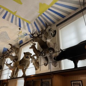 Hunting Museum Paris