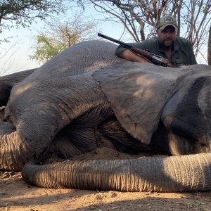 Zimbabwe Elephant Hunt