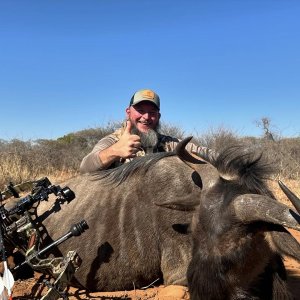 Black Wildebeest Bow Hunt South Africa