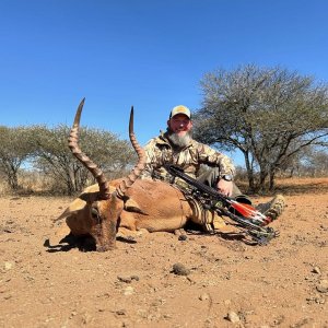 Impala Bow Hunt South Africa