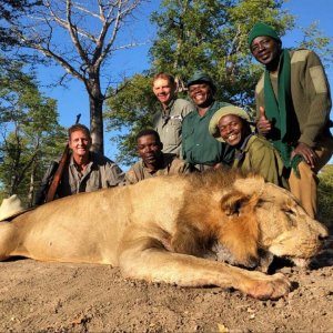 Zimbabwe Lion Hunt