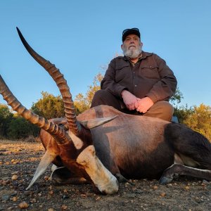 Blesbuck Hunt South Africa