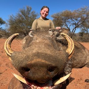 Warthog Bow Hunt South Africa