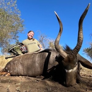 Nyala Bow Hunt South Africa