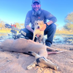 Impala Ewe Bow Hunt South Africa