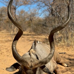 Kudu Hunt South Africa