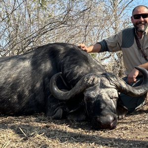 Buffalo Hunt Zimbabwe