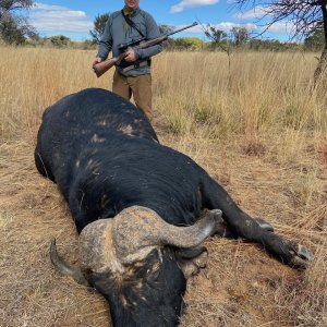 Buffalo Hunt South Africa