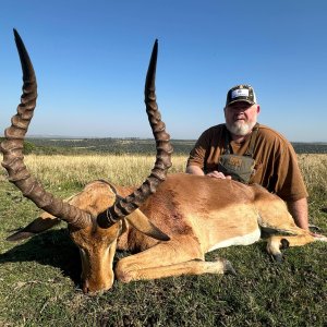 Impala Hunt Eastern Cape South Africa