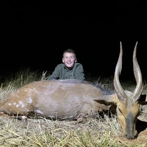 Bushbuck Hunt South Africa