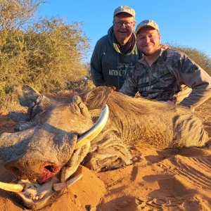 Warthog Hunt South Africa