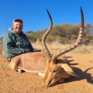 Impala Hunt South Africa